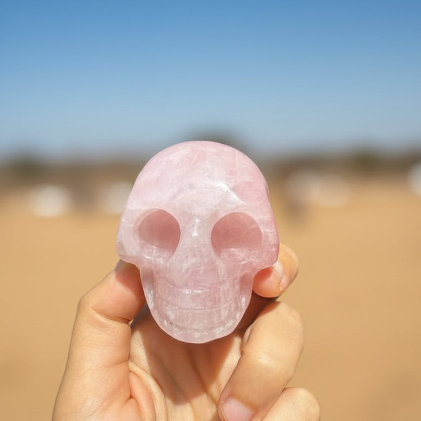 Rose Quartz Skull Premium