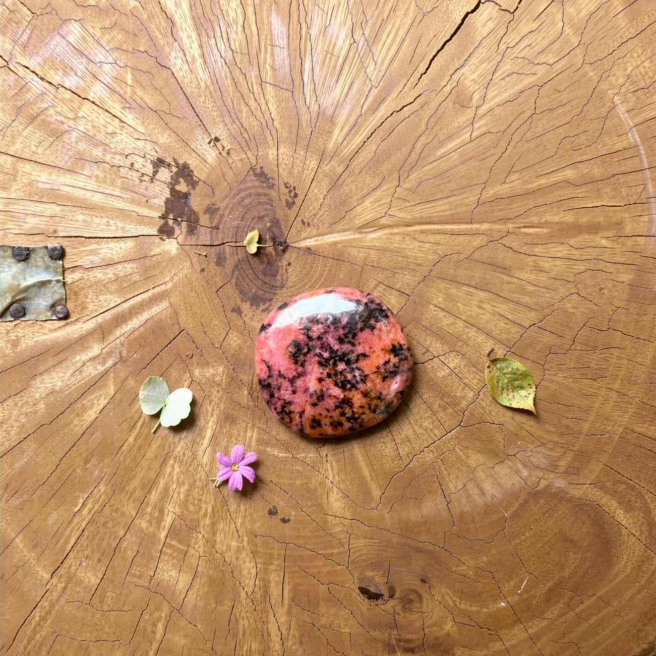 Rhodonite Palmstone