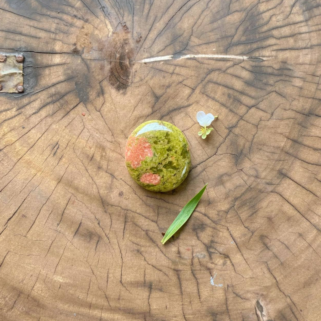 Unakite Palmstone