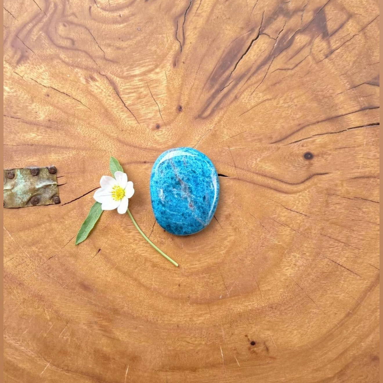 Blue Apatite Palmstone