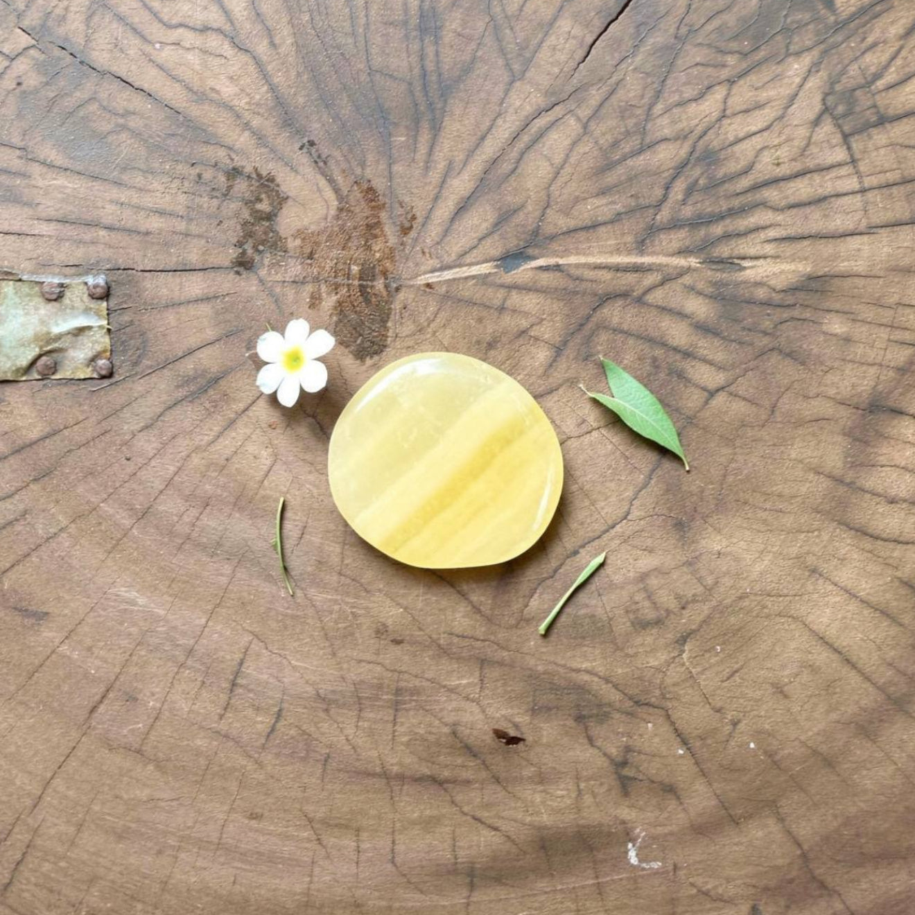 Yellow Calcite Palmstone