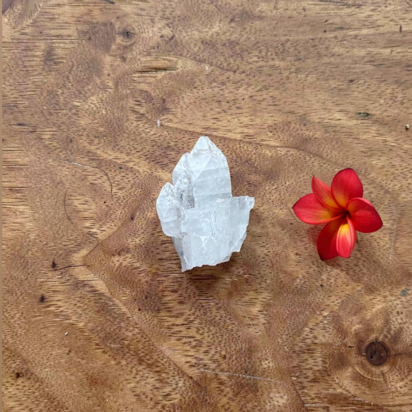 Apophyllite Cluster