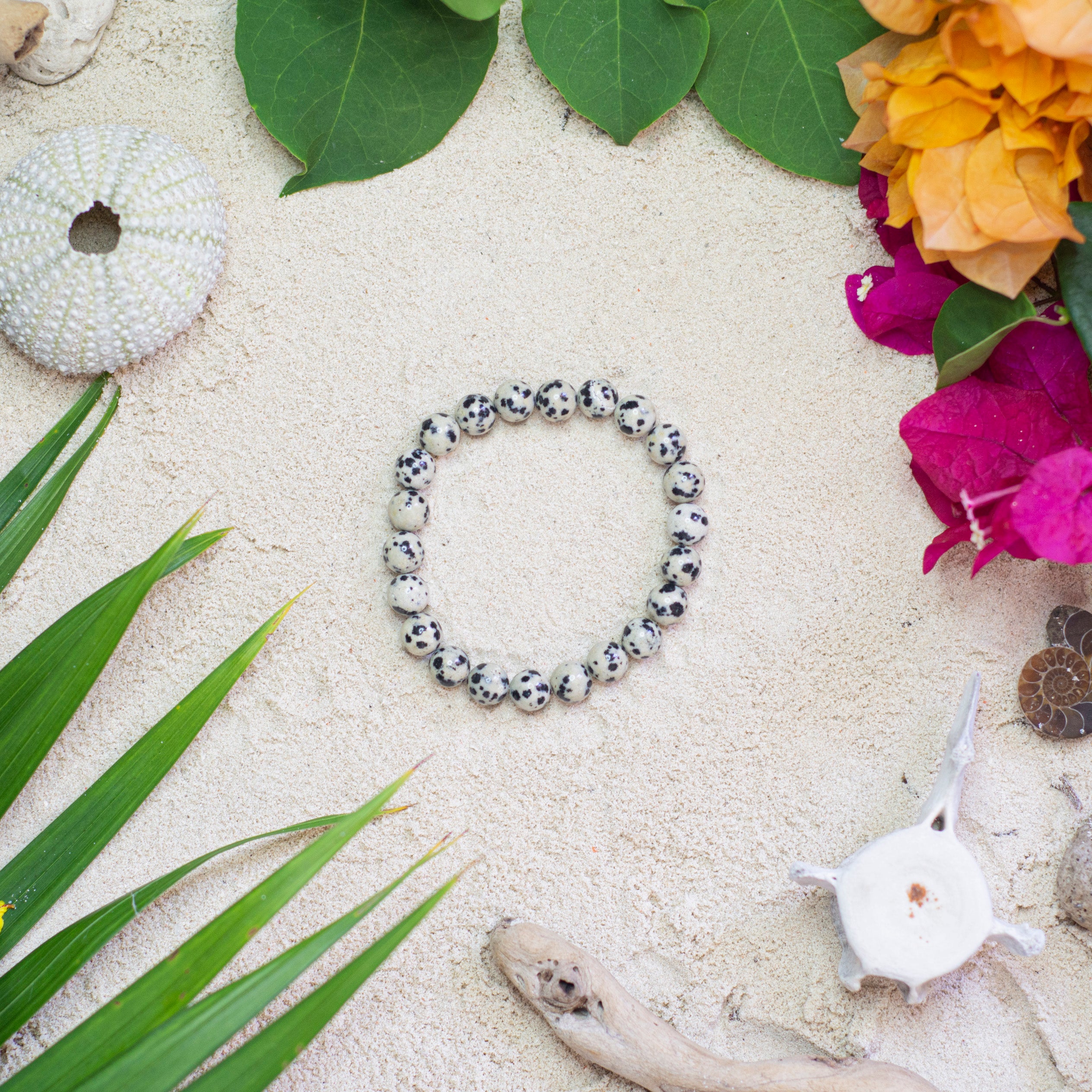 Dalmatian Jasper Bracelet