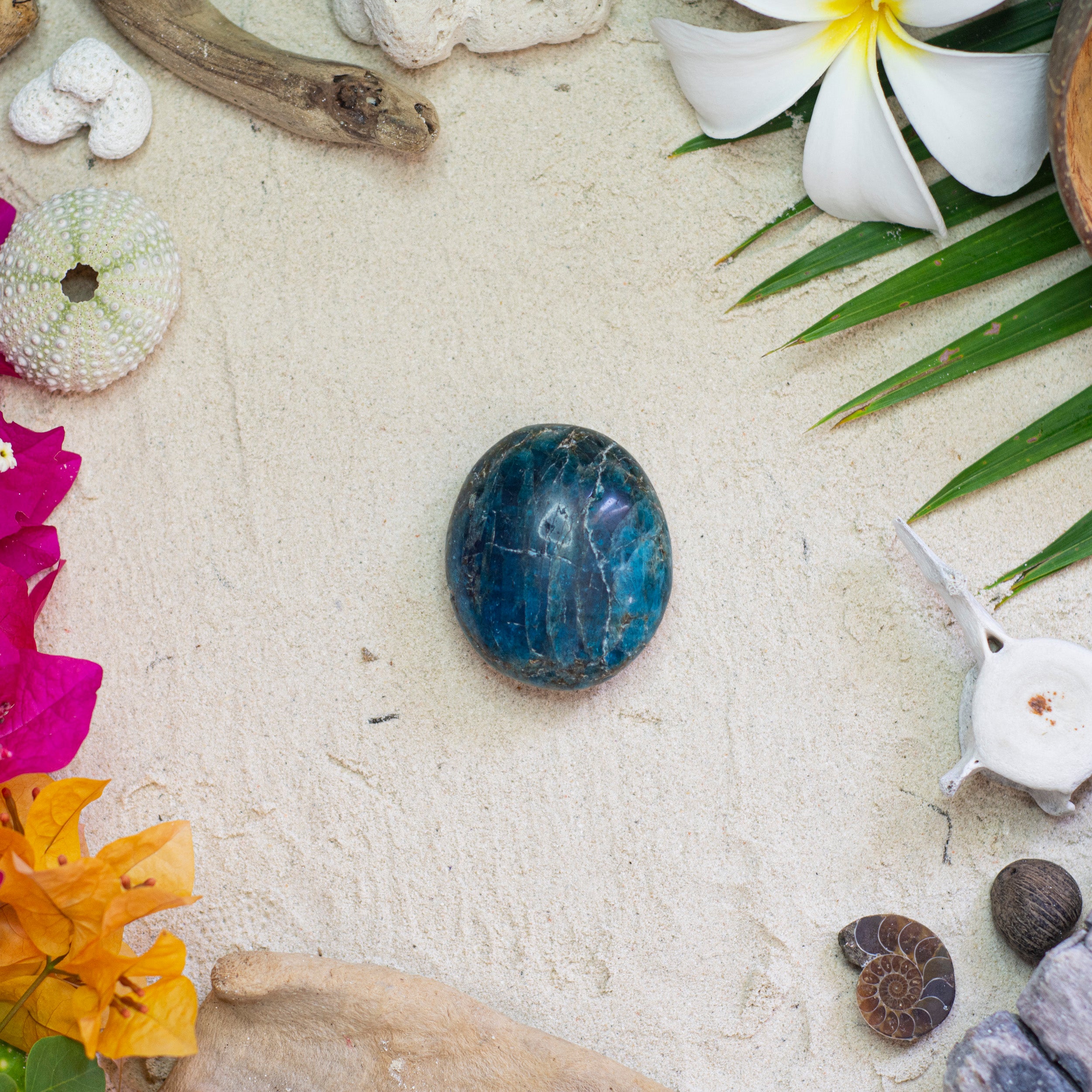 Blue Apatite Palmstone