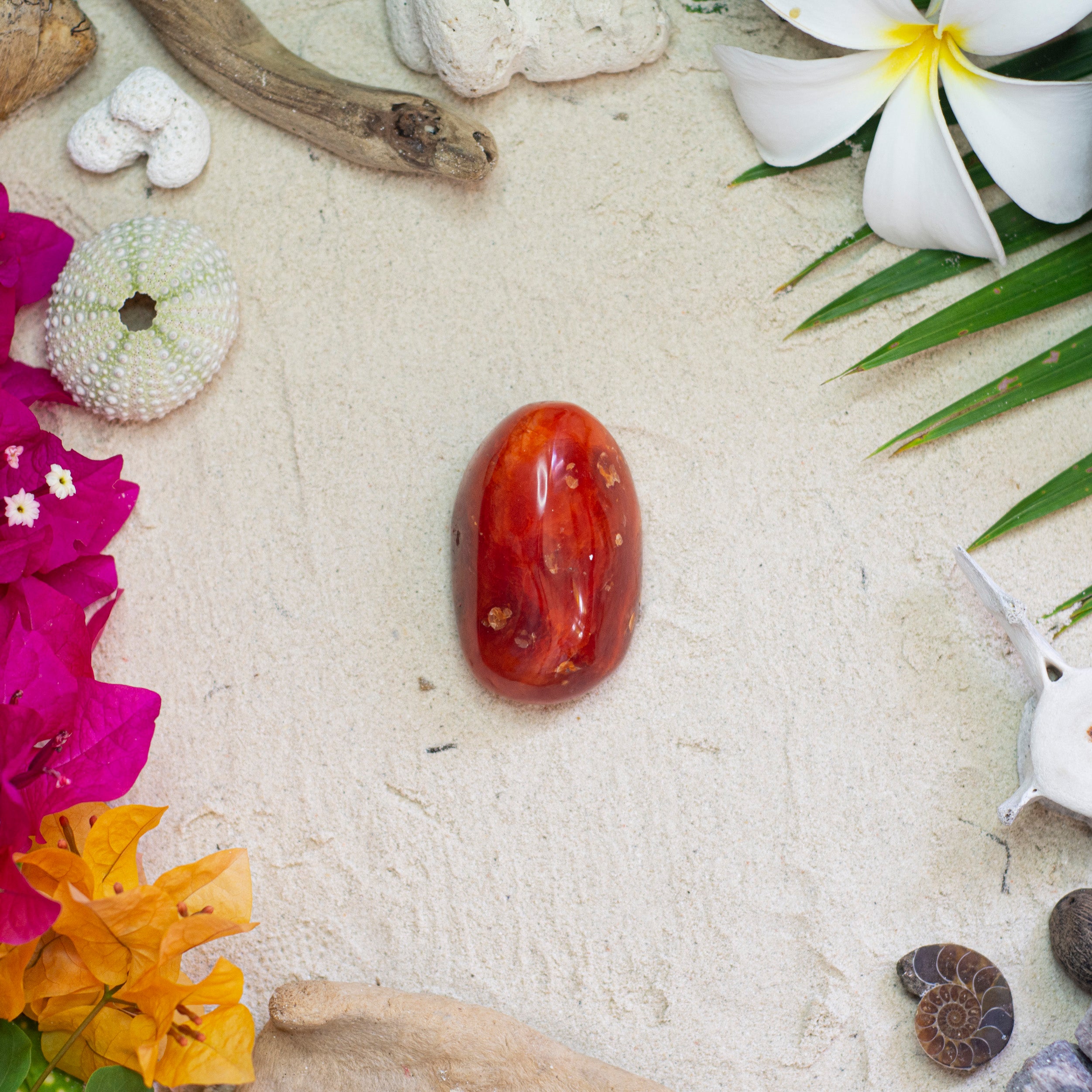 Carnelian Palmstone