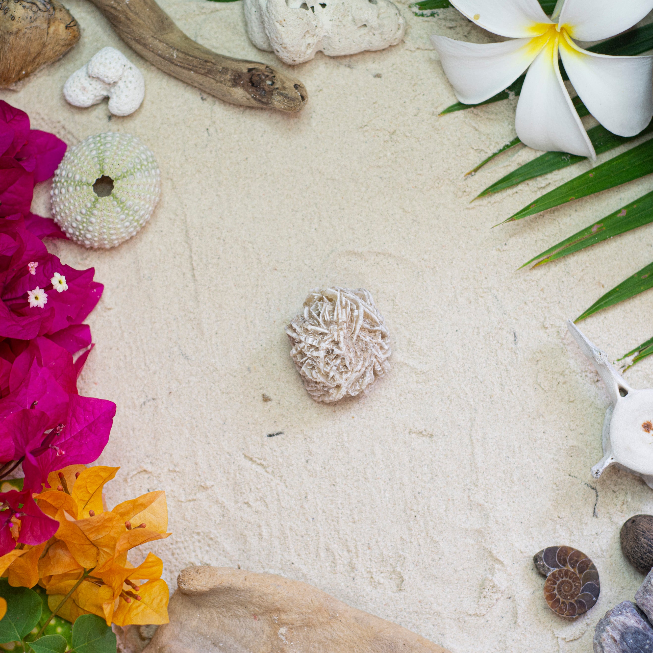Desert Rose Selenite Raw