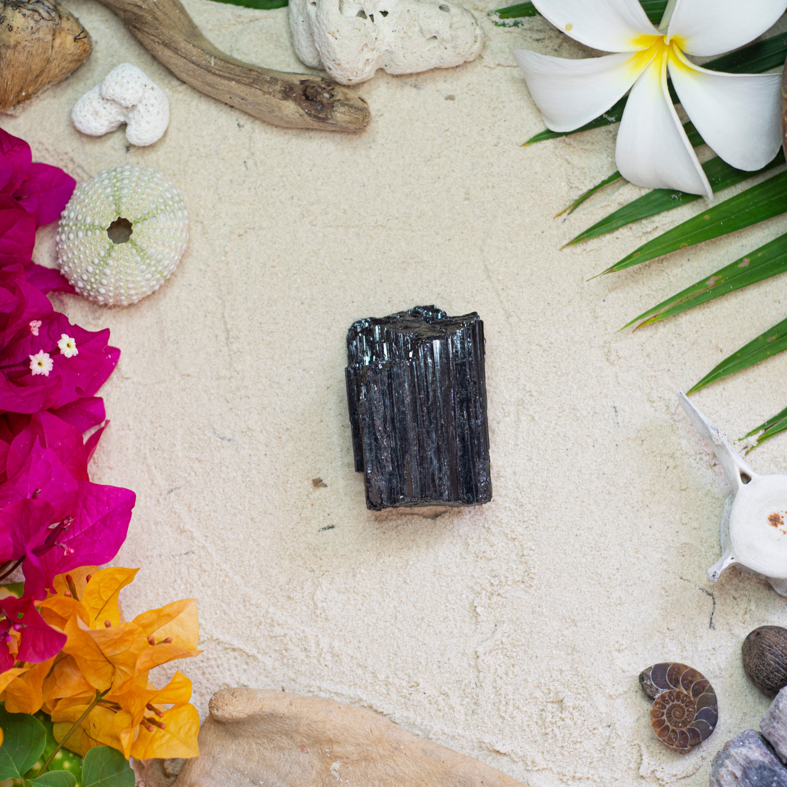 Black Tourmaline Raw Large