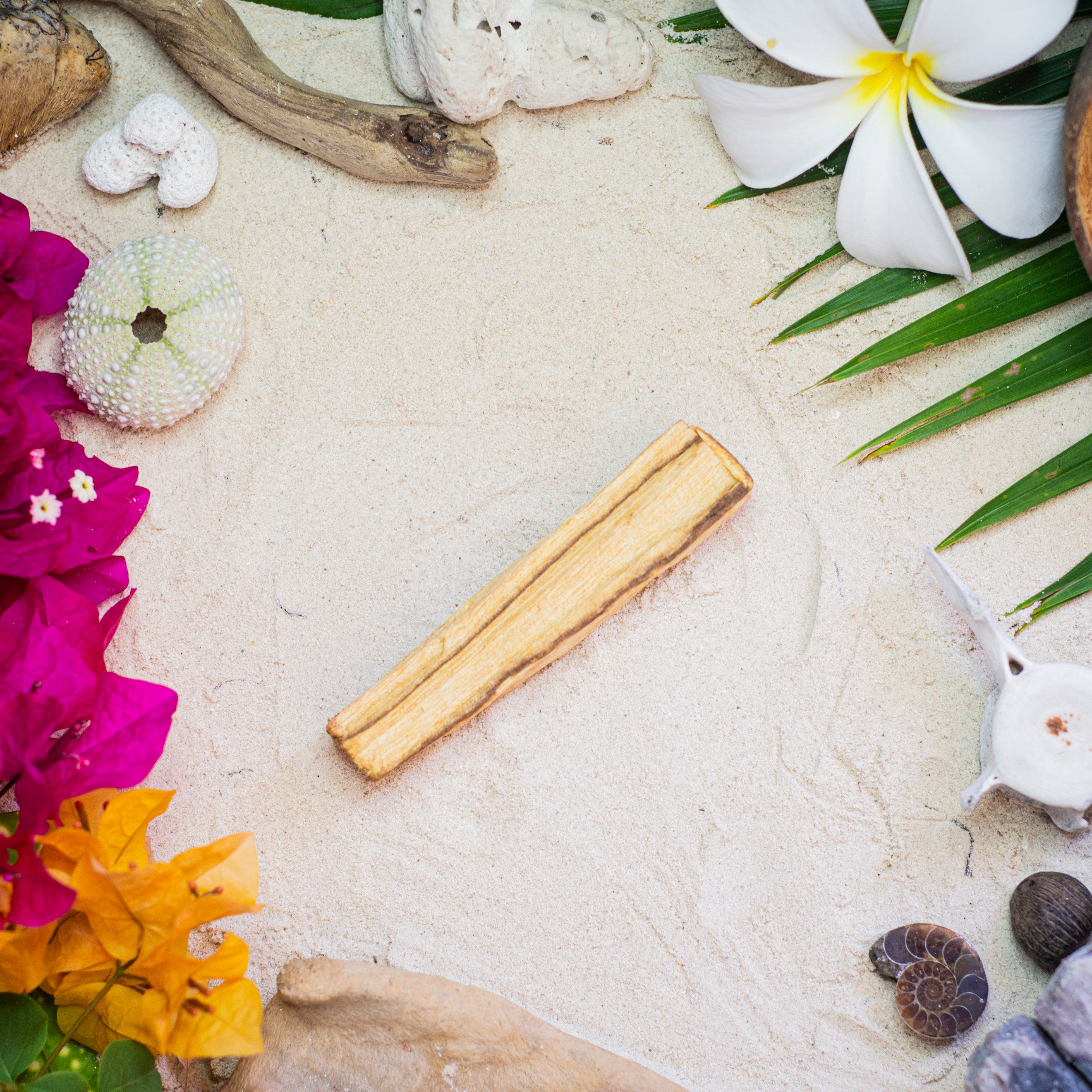 Palo Santo Large