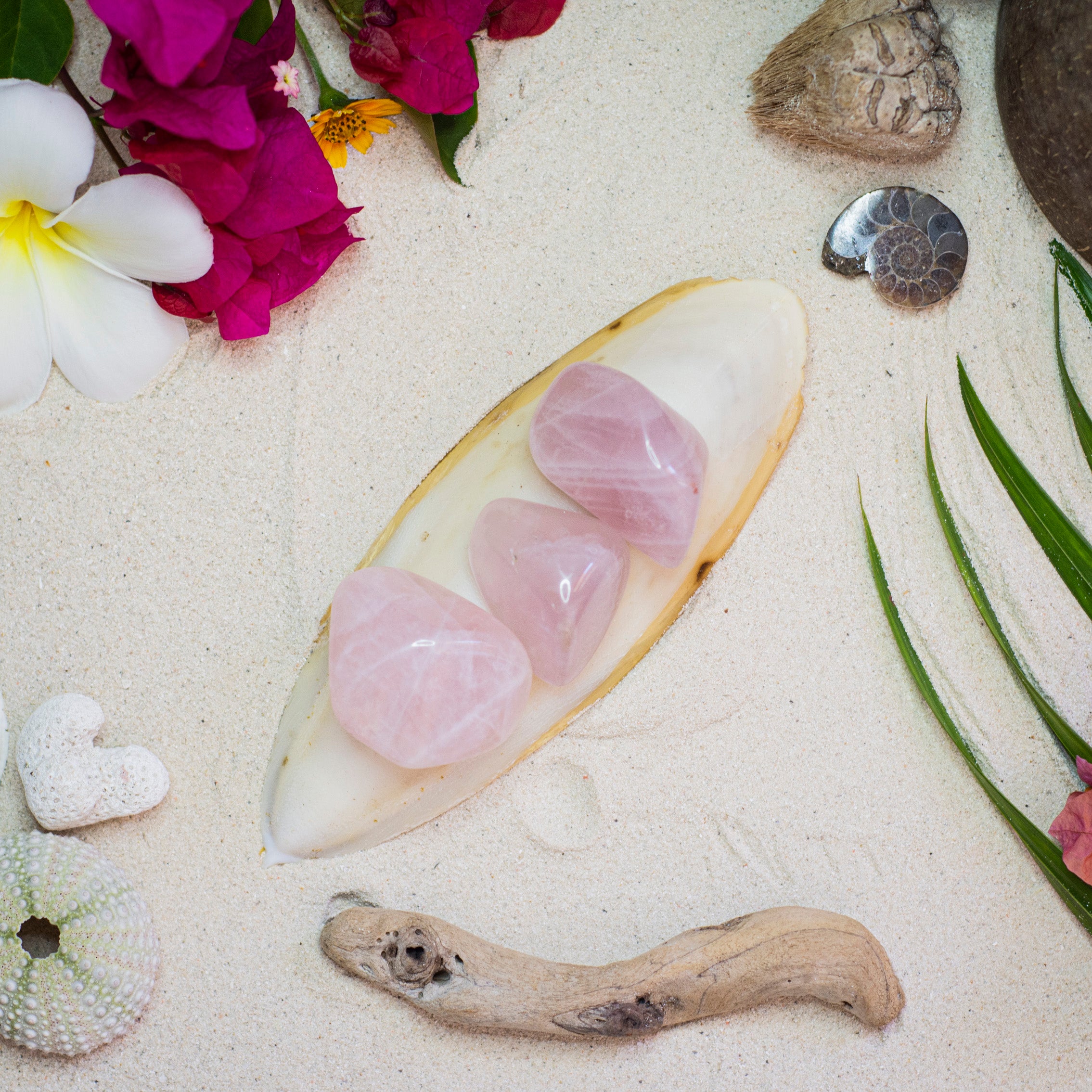 Rose Quartz Tumble ๐ฒ๐ฌ