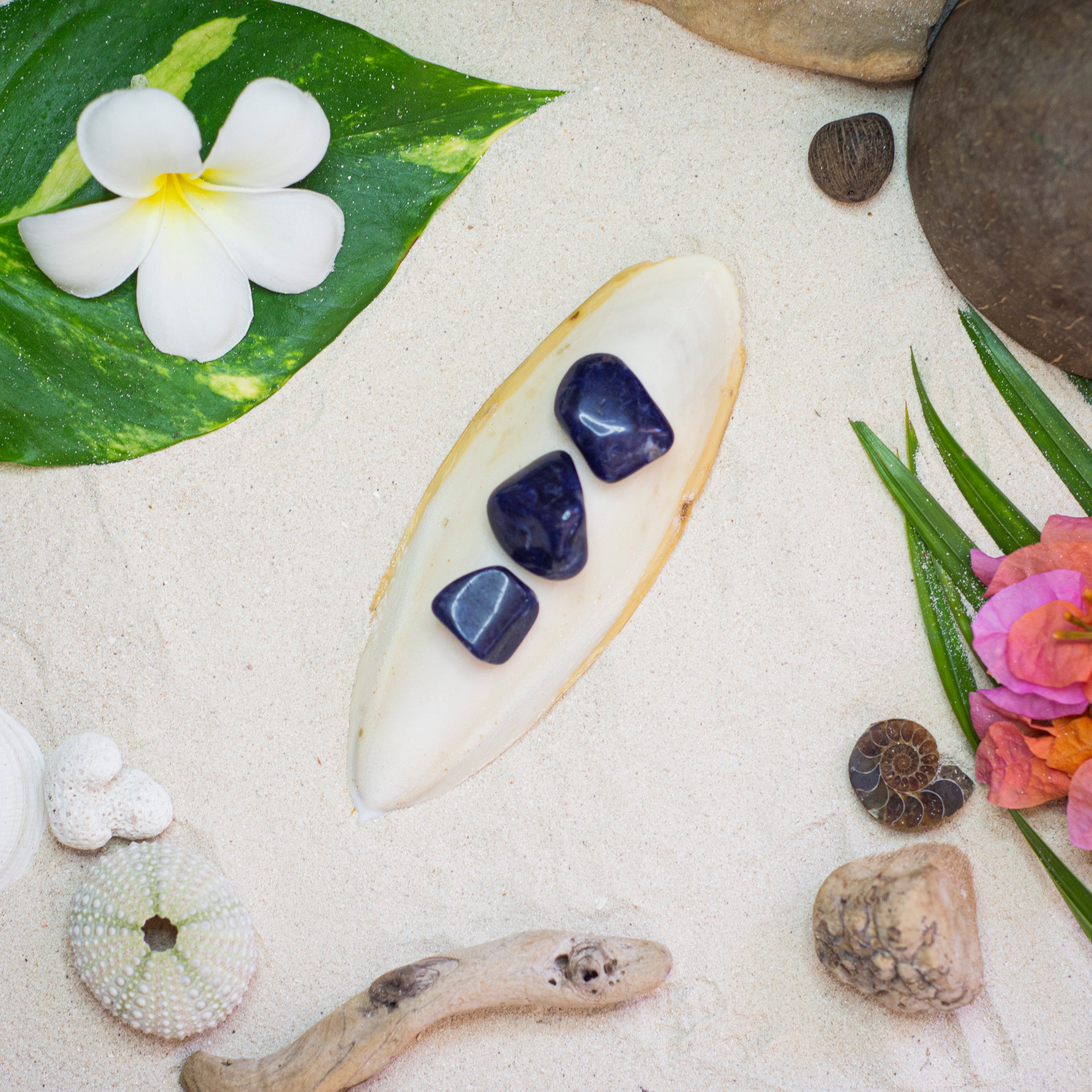 Sodalite Tumble π΅π°