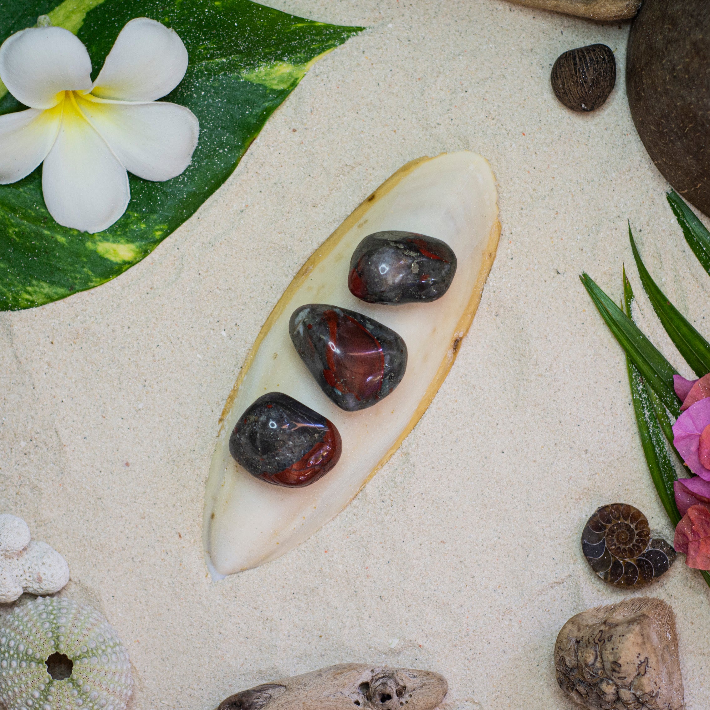 Blood Stone Jasper Tumble for