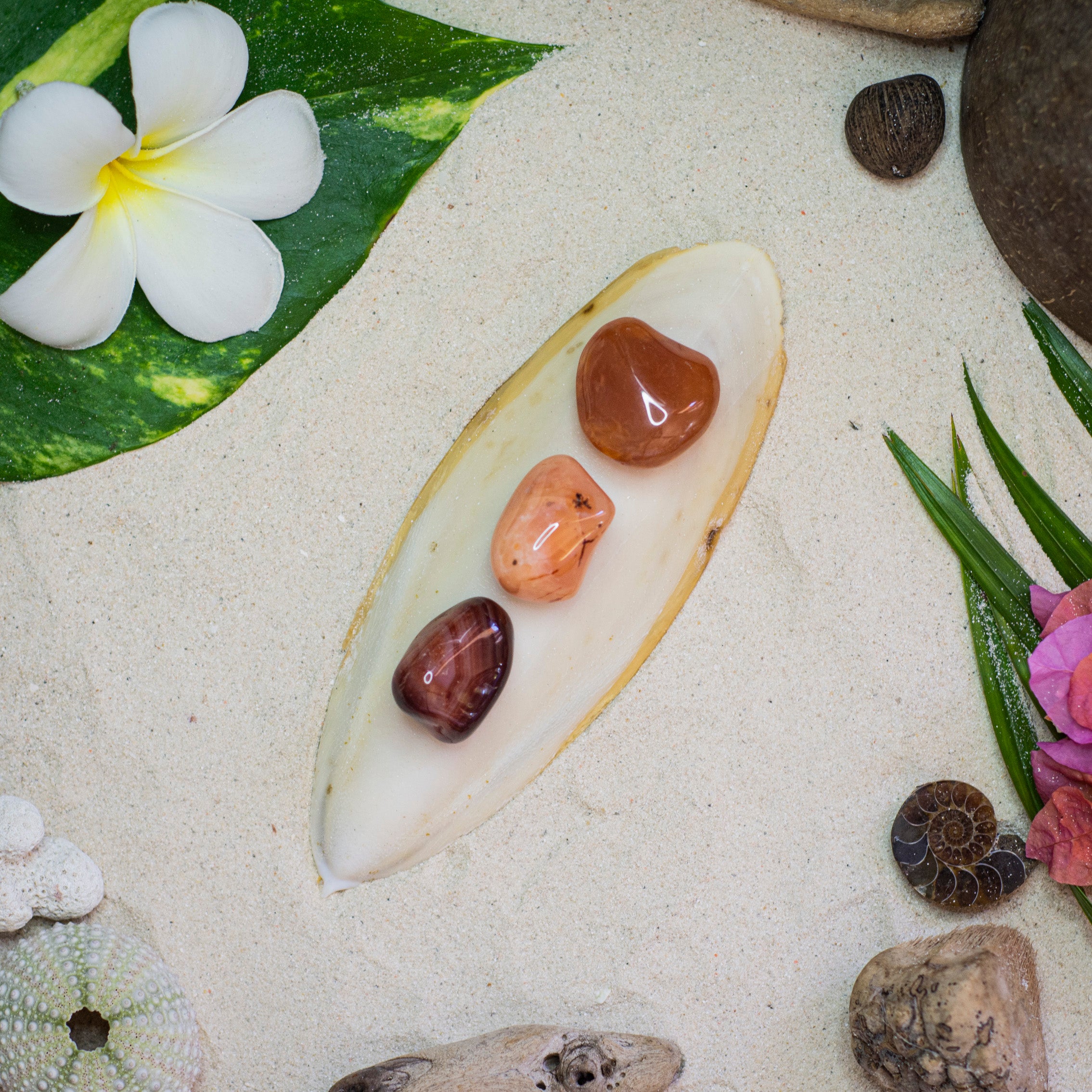 Carnelian Tumble 🇲🇬