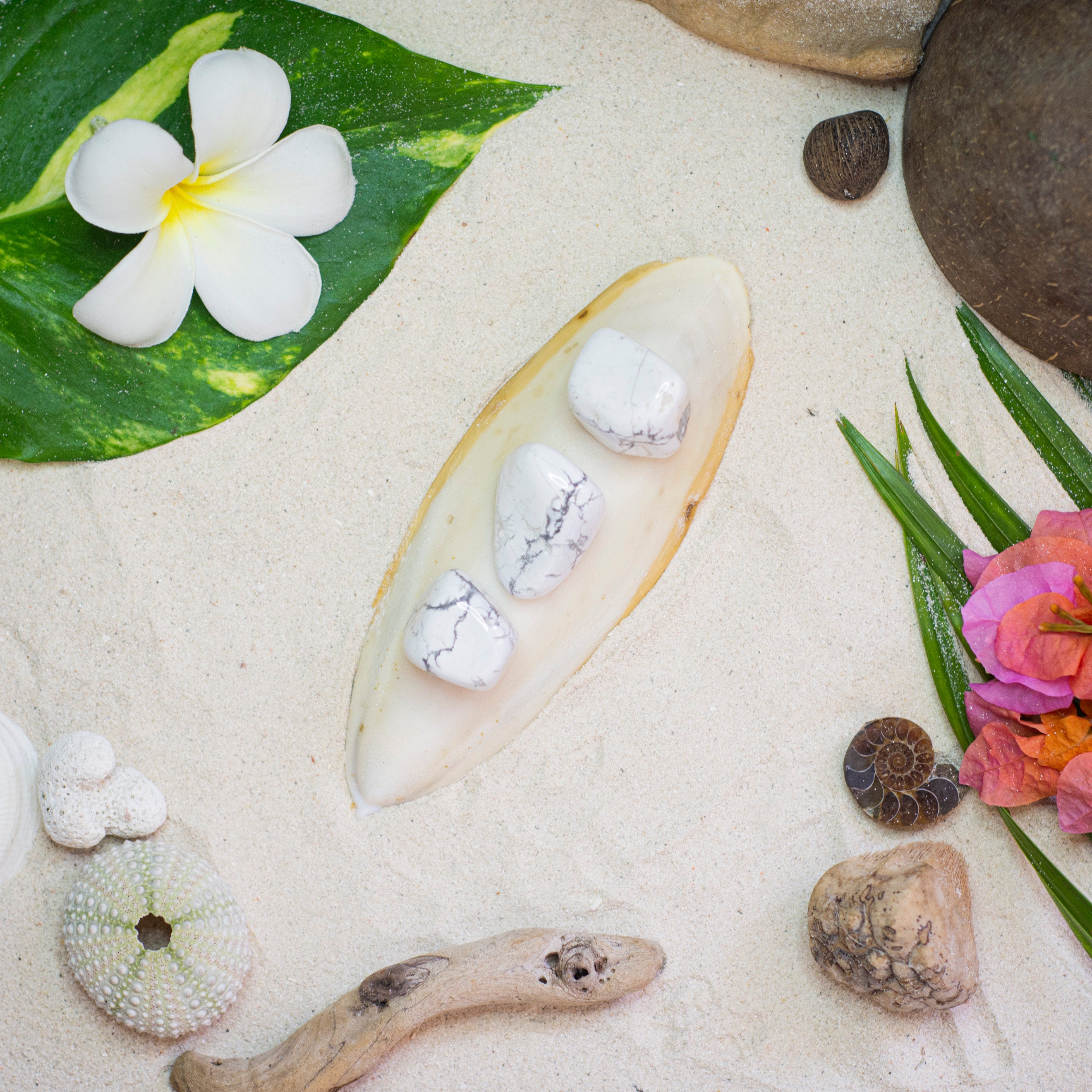 Howlite Tumble