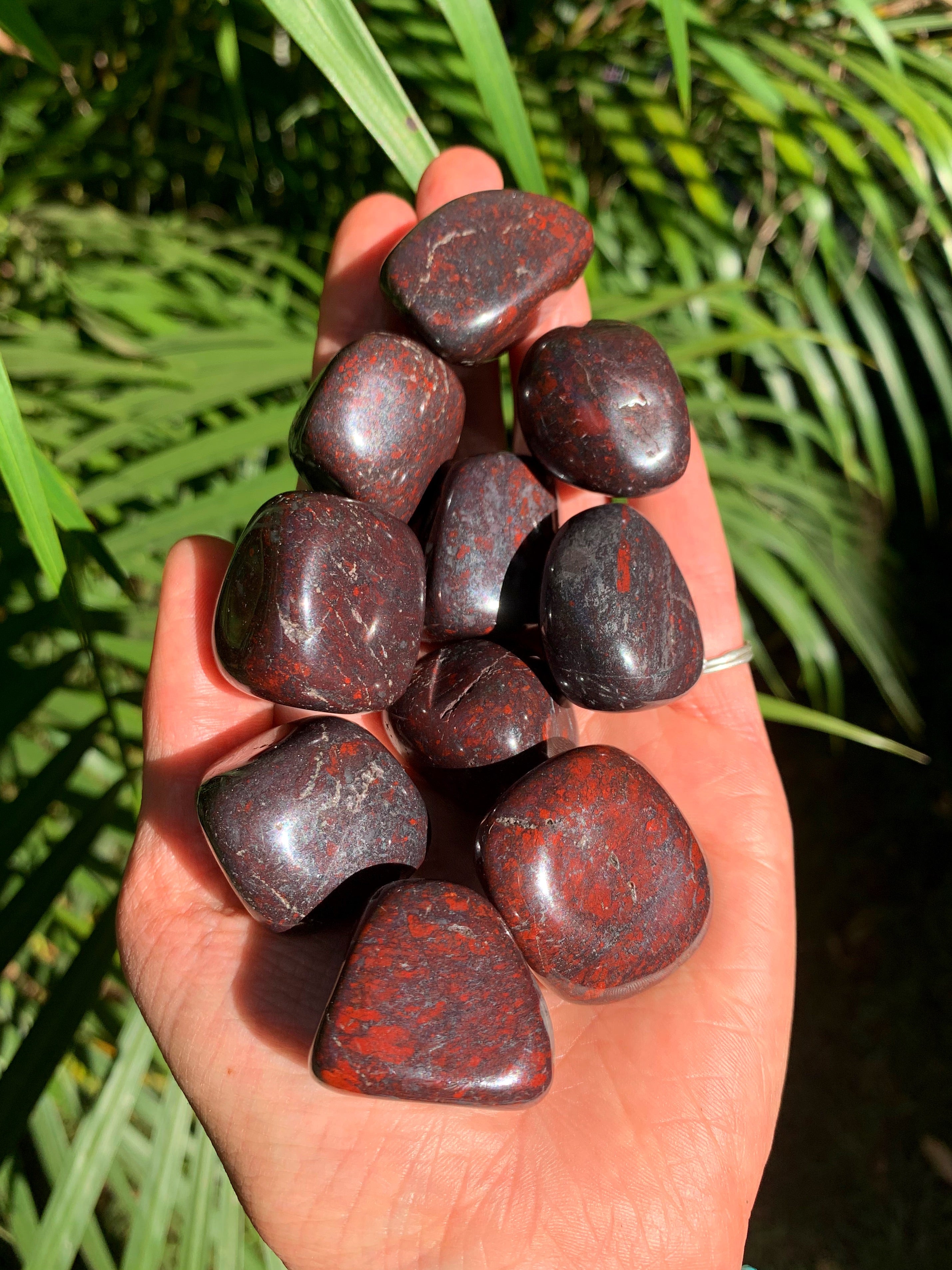 Red Jasper with Hematite