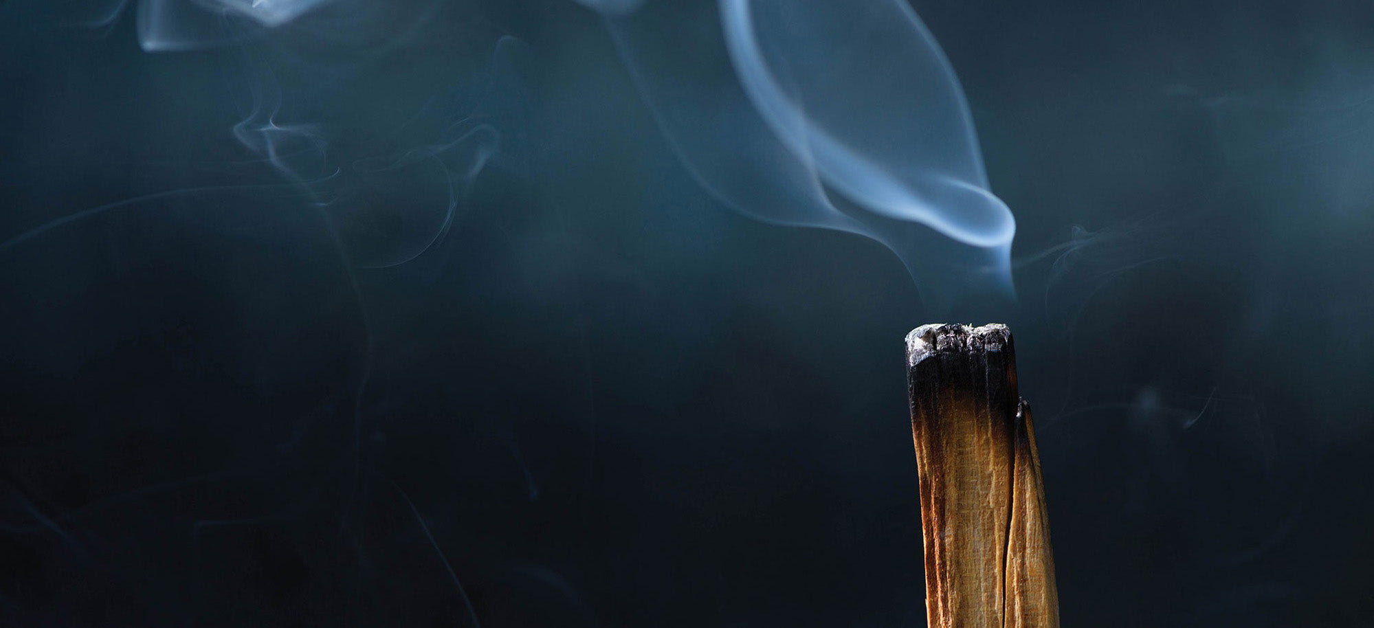 How to work with Palo Santo