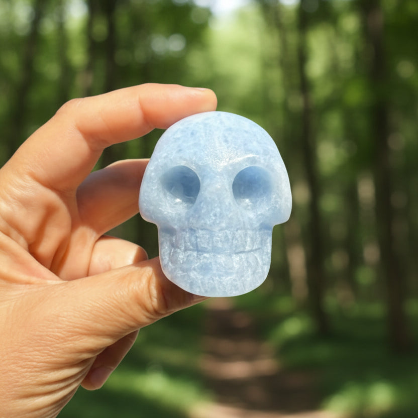 Blue Aragonite Skull Premium