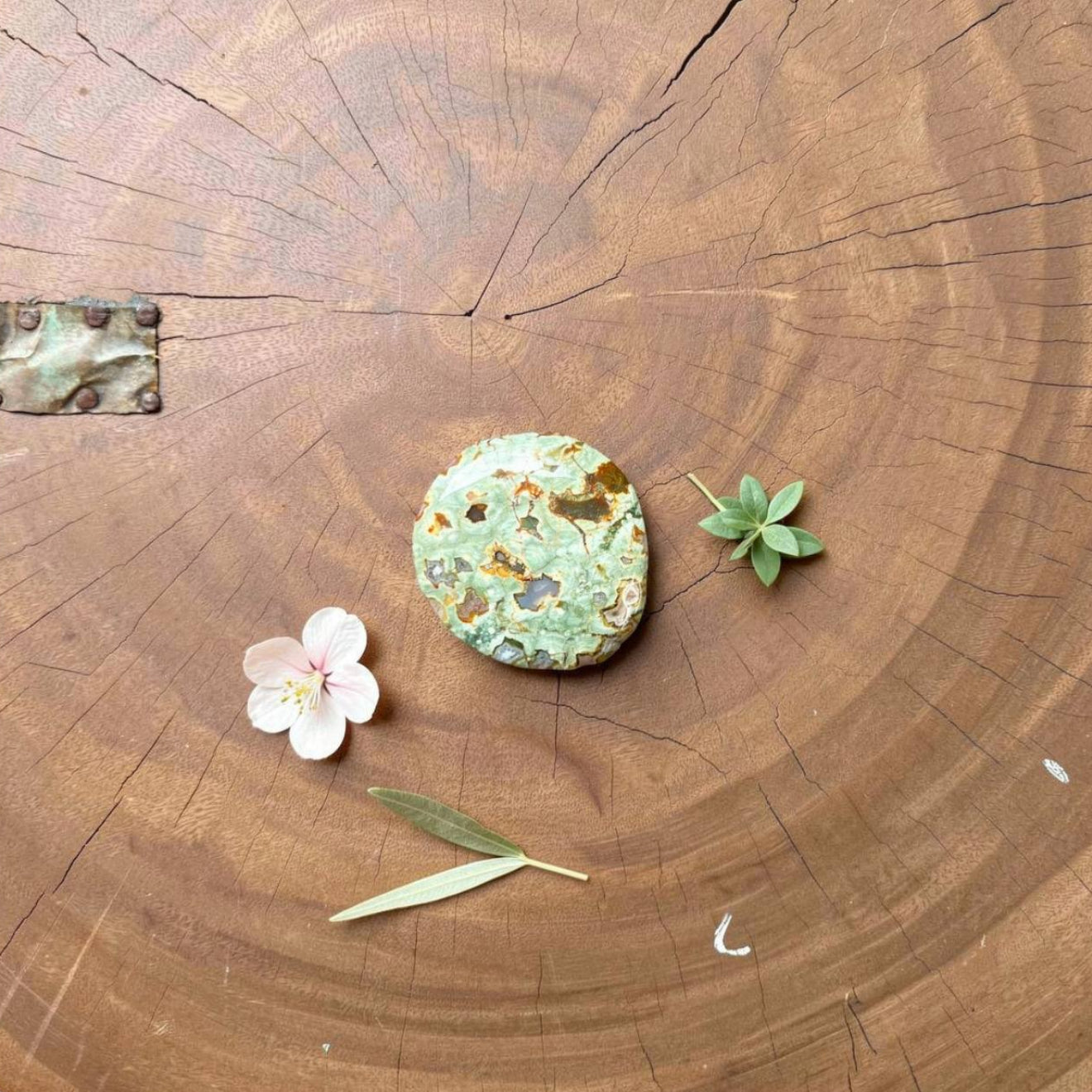 Green Rhyolite Palmstone