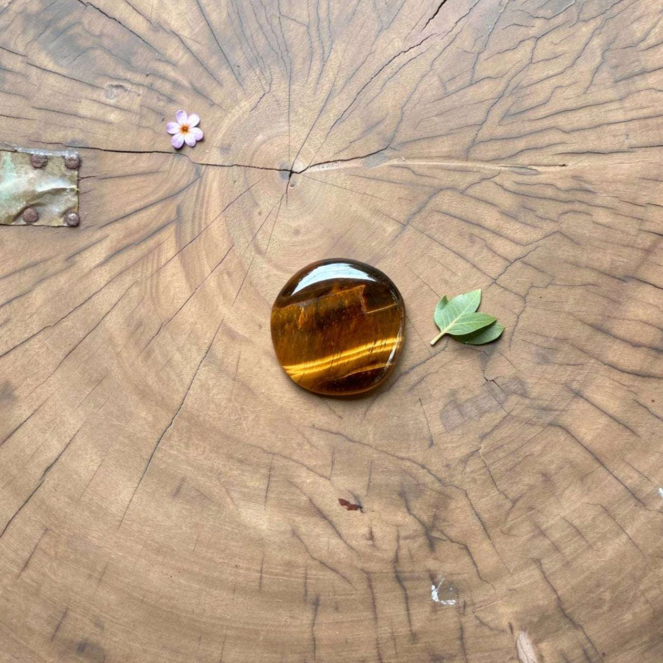 Tiger Eye Palmstone