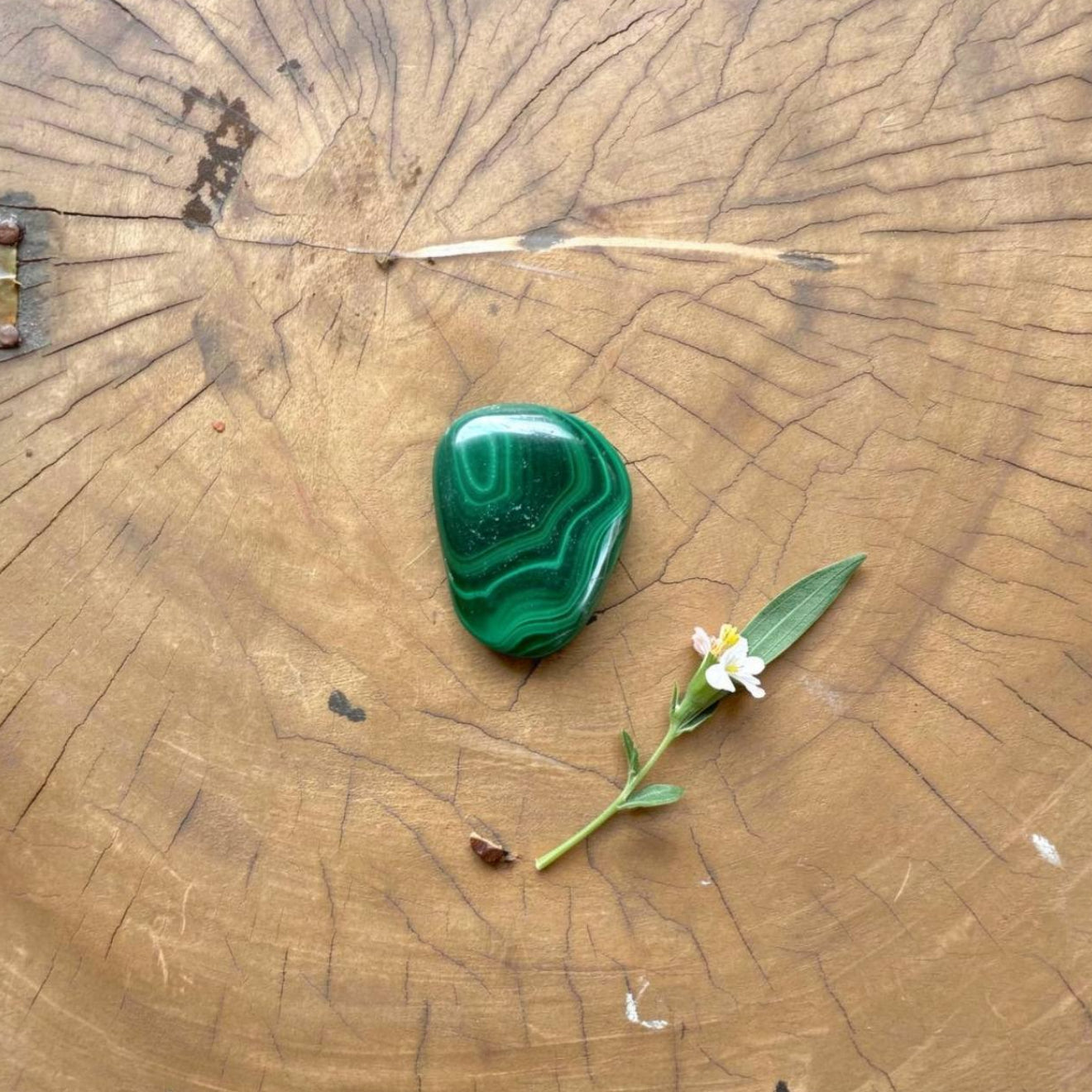 Malachite Palmstone