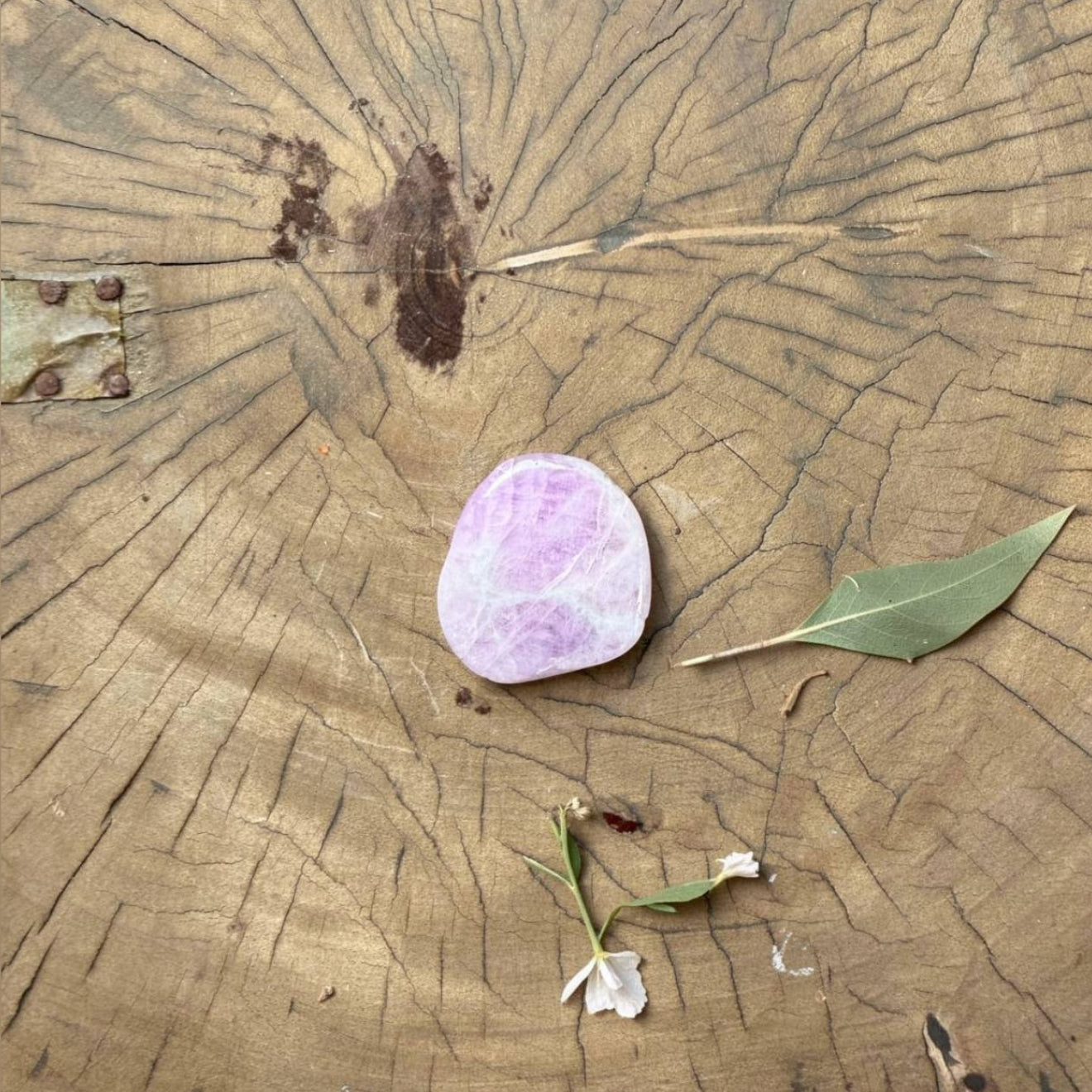 Kunzite Palmstone