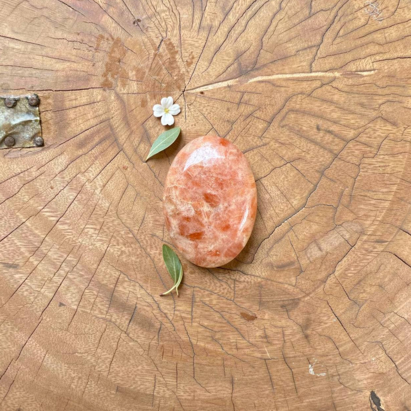 Sunstone Palmstone