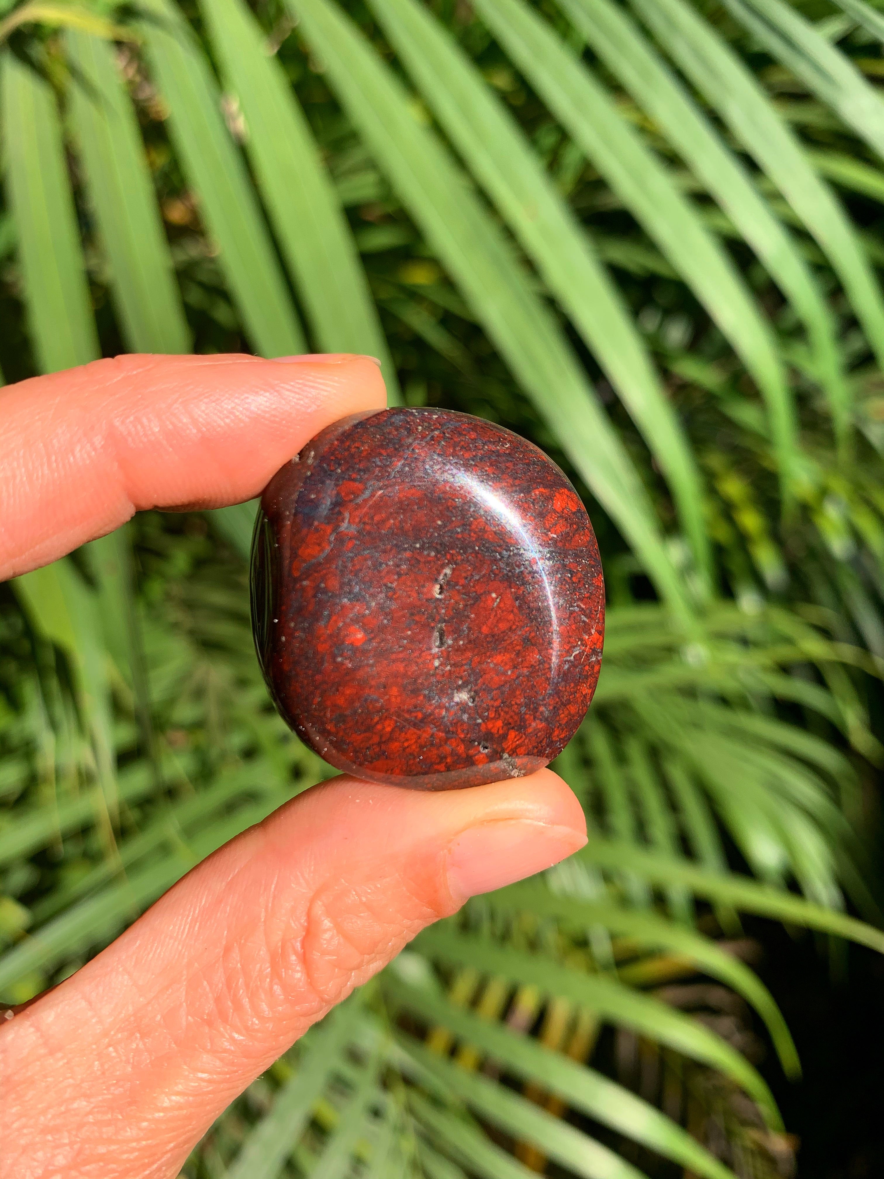 Red Jasper with Hematite